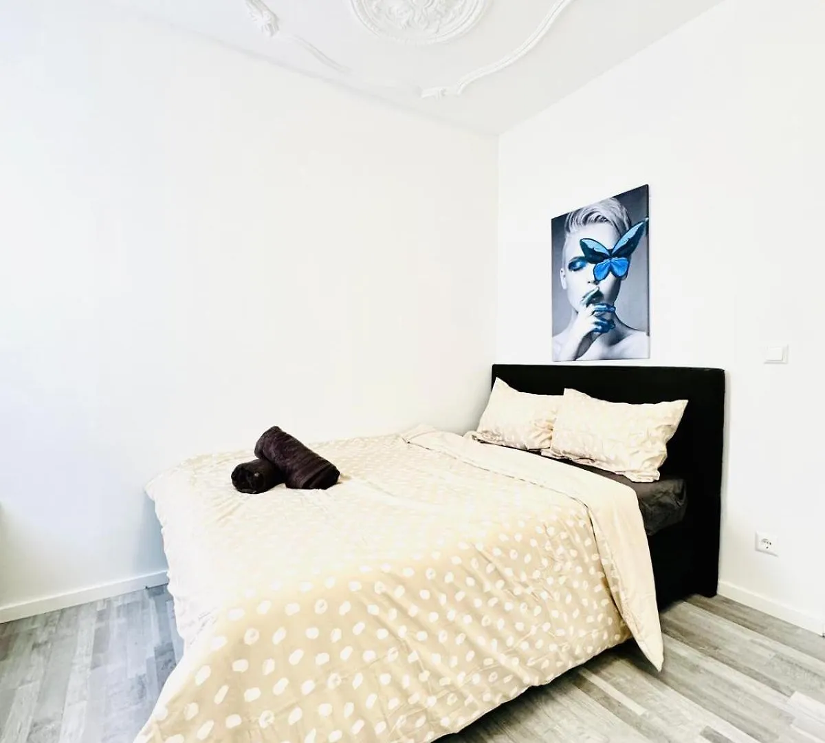 Beautiful 4Br Apt For Up To 12P 10 Min To Fac Platz 维也纳